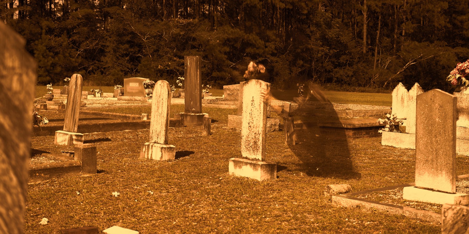 ron-pierson-photography-graveyard-ghost-halloween-themed-Z6B_2455-c.jpg